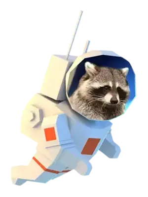 astronaut raccoon